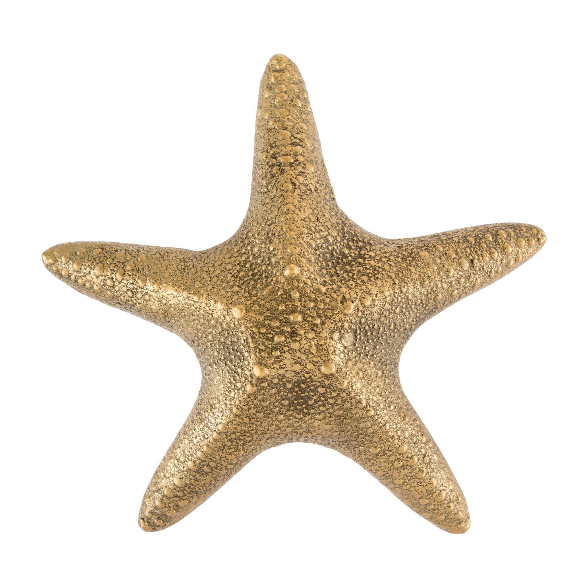 Primo piano di un pomello in ottone di medie dimensioni a forma di stella marina, caratterizzato da dettagli intricati e da una finitura lucida, adatto ad aggiungere fascino costiero ad armadi, cassetti e porte.