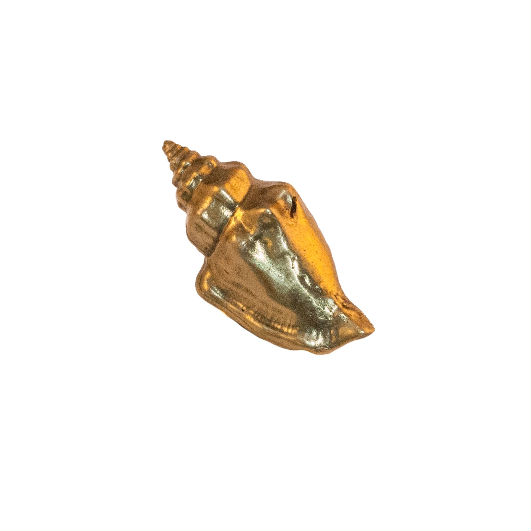 Immagine del Palermo Brass Shell-Shaped pomello. Questo pomello decorativo è realizzato in ottone di alta qualità e presenta un disegno intricato che ricorda una conchiglia. La finitura in ottone gli conferisce un aspetto classico ed elegante. Ideale per l'uso su armadi, cassetti e porte, pomello aggiunge un tocco di fascino costiero a qualsiasi mobile.