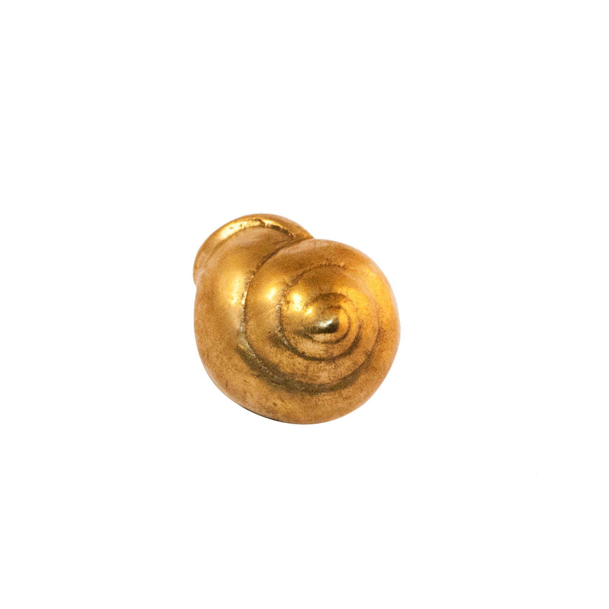 pomello in ottone che ricorda una dettagliata conchiglia della collezione Salerno, progettata per valorizzare armadi, cassetti e porte con un'eleganza di ispirazione costiera.