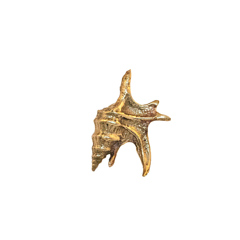 Brass Taormina shell-shaped knob with intricate details and a polished finish, perfect for adding a luxurious nautical touch to cabinets and drawers.