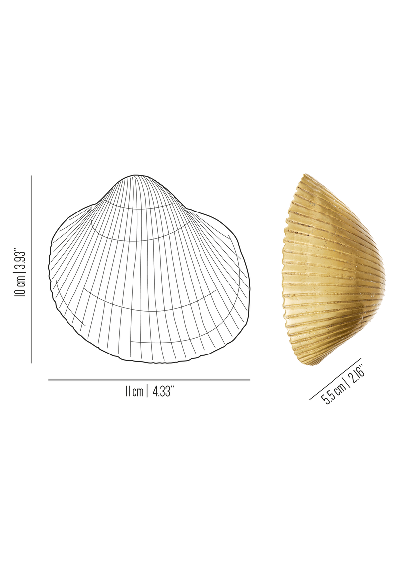Oceano Camogli brass seashell knob