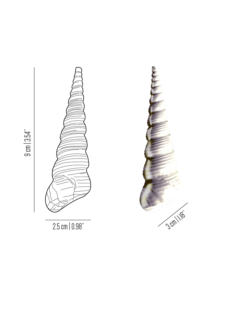 Oceano brass short sea conus sea shell knob