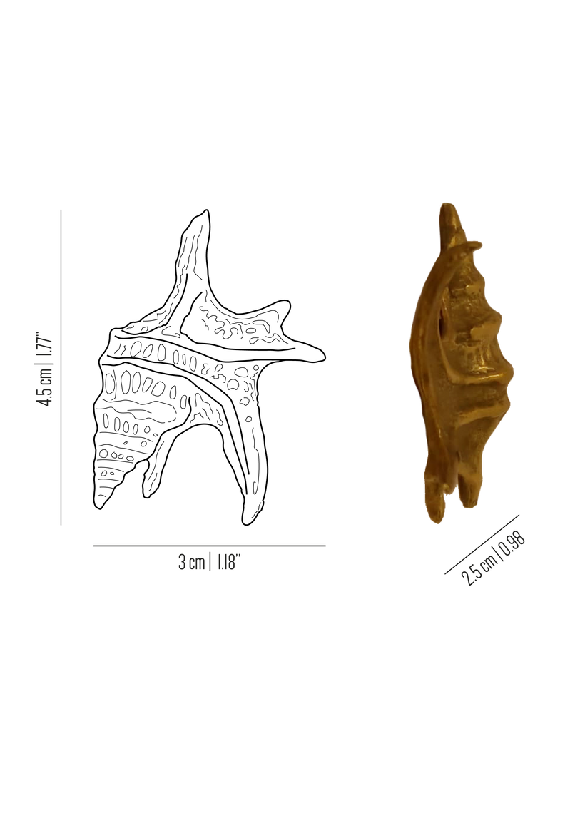 Oceano Taormina brass seashell knob