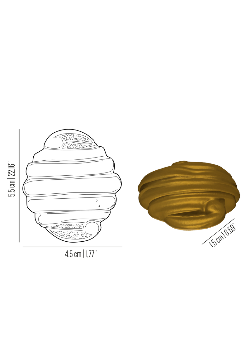 Oceano Messina brass seashell knob